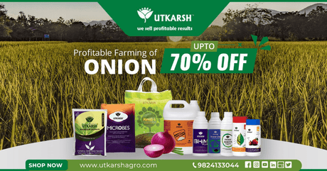 Onion Farming-Golden Tips for 40% better Yield - Utkarsh Agrochem Pvt ltd. 