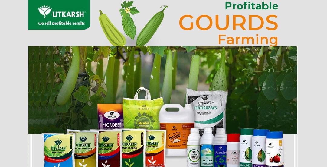 Gourd Production – Best 150 Days Spray Fertigation Schedule - Utkarsh Agrochem Pvt ltd. 