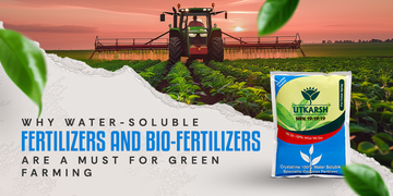 Why Water-Soluble Fertilizers and Bio-Fertilizers Are a Must for Green Farming 