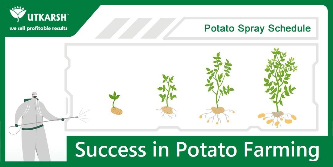 Everything you need for successful Potato Farming - Utkarsh Agrochem Pvt ltd. 
