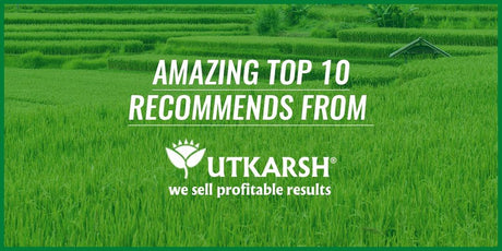 Amazing Top 10 Recommends from Utkarsh Agrochem - Utkarsh Agrochem Pvt ltd. 
