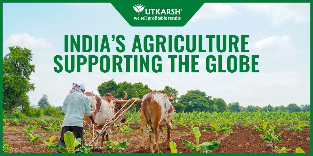 9 BEST POINTS FOR INDIA’S AGRICULTURE SUPPORTING THE GLOBE - Utkarsh Agrochem Pvt ltd. 