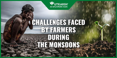 4 Important Challenges faced by farmers during the Monsoons - Utkarsh Agrochem Pvt ltd. 