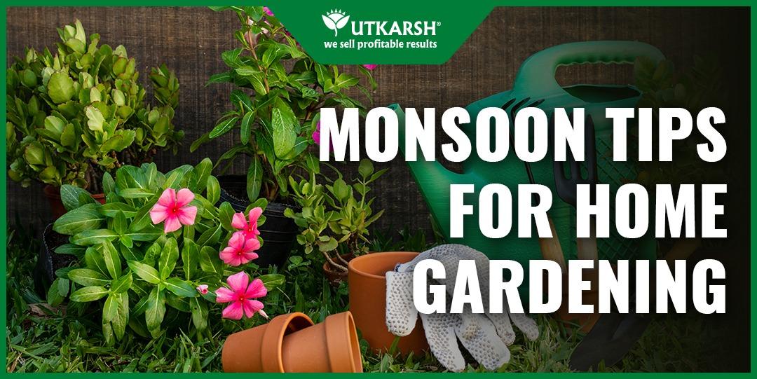 7 Best Actionable Monsoon Tips For Home Gardening - Utkarsh Agrochem Pvt ltd. 