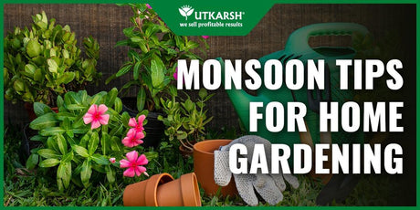 7 Best Actionable Monsoon Tips For Home Gardening - Utkarsh Agrochem Pvt ltd. 
