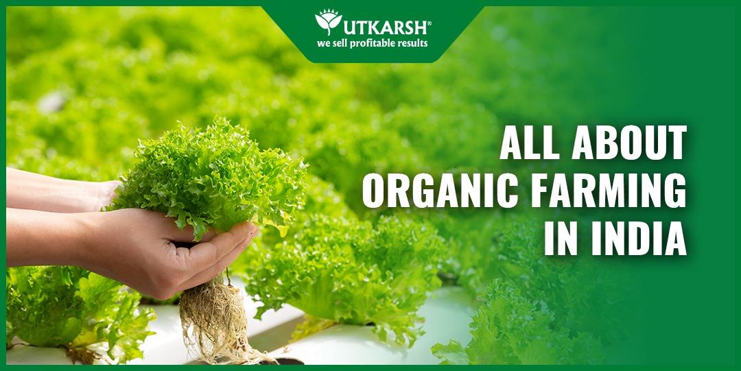 4 Beneficial about Organic Farming in India - Utkarsh Agrochem Pvt ltd. 