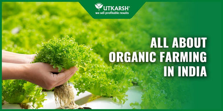 4 Beneficial about Organic Farming in India - Utkarsh Agrochem Pvt ltd. 