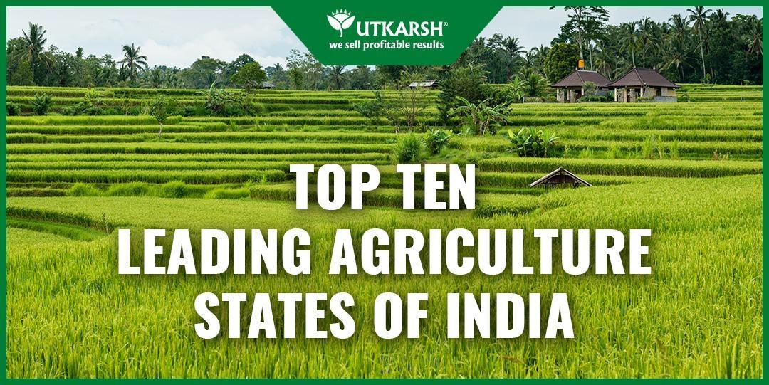 Top 10 Leading Agriculture States Of India - Utkarsh Agrochem Pvt ltd. 
