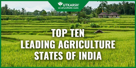 Top 10 Leading Agriculture States Of India - Utkarsh Agrochem Pvt ltd. 