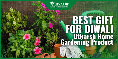 Best Gift for Diwali – Utkarsh Home Gardening Kit - Utkarsh Agrochem Pvt ltd. 