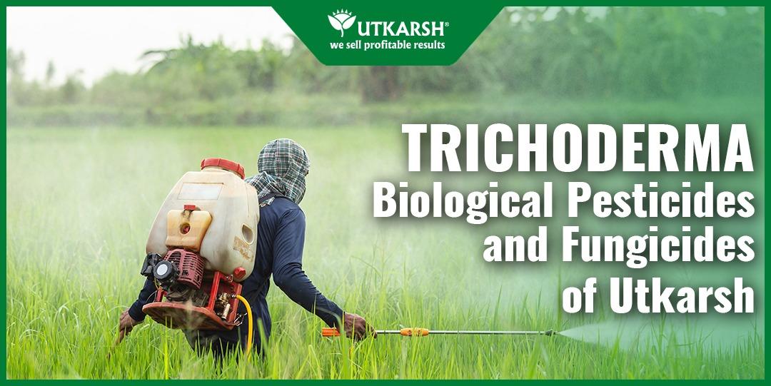 3 Trichoderma Successful Steps: Biological Pesticides and Fungicides of Utkarsh - Utkarsh Agrochem Pvt ltd. 