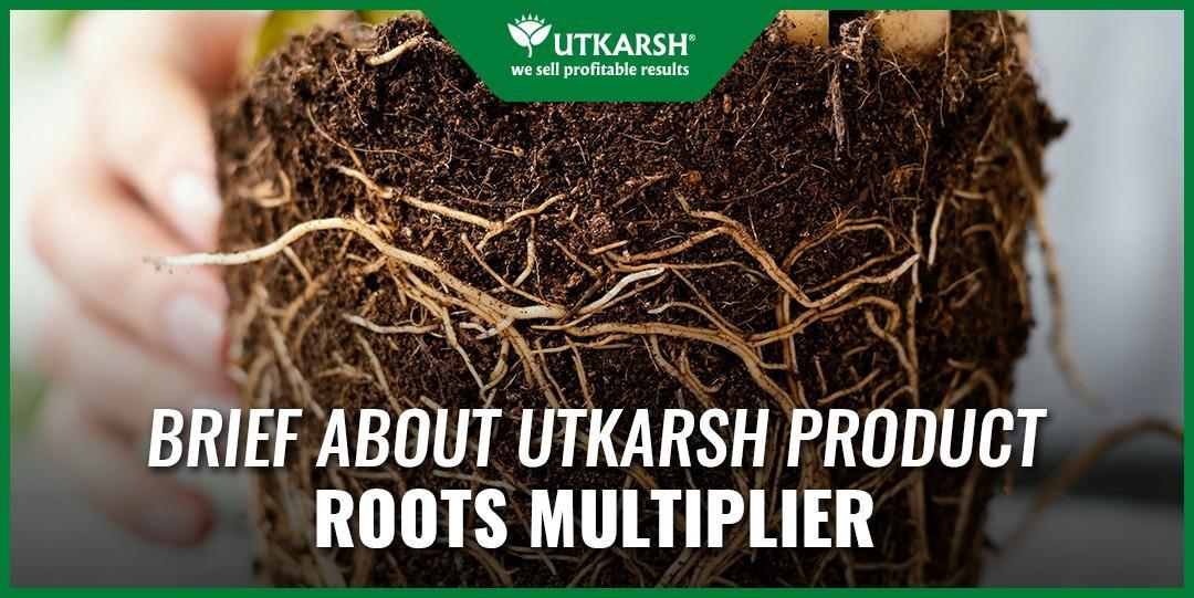 Brief about 5 Greatest Utkarsh Product Roots Multiplier - Utkarsh Agrochem Pvt ltd. 