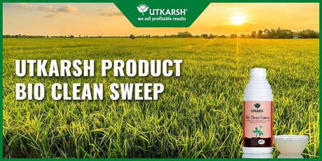 Utkarsh Product Bio Clean Sweep - Utkarsh Agrochem Pvt ltd. 