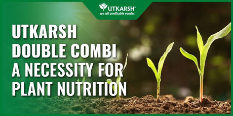 Utkarsh Double Combi- A Necessity for Plant Nutrition - Utkarsh Agrochem Pvt ltd. 