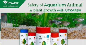 Products for maintenance of Aquarium plants by Utkarsh Agrochem