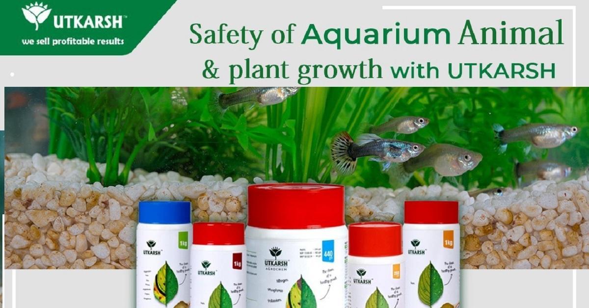 Products for maintenance of Aquarium plants by Utkarsh Agrochem - Utkarsh Agrochem Pvt ltd. 