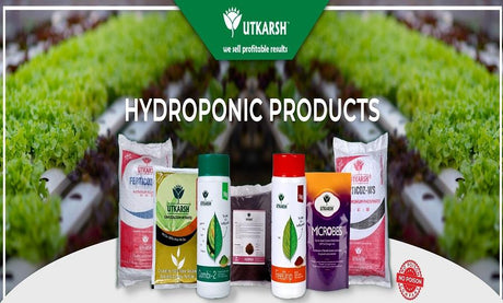 Hydroponic Farming and related products by Utkarsh Agrochem - Utkarsh Agrochem Pvt ltd. 