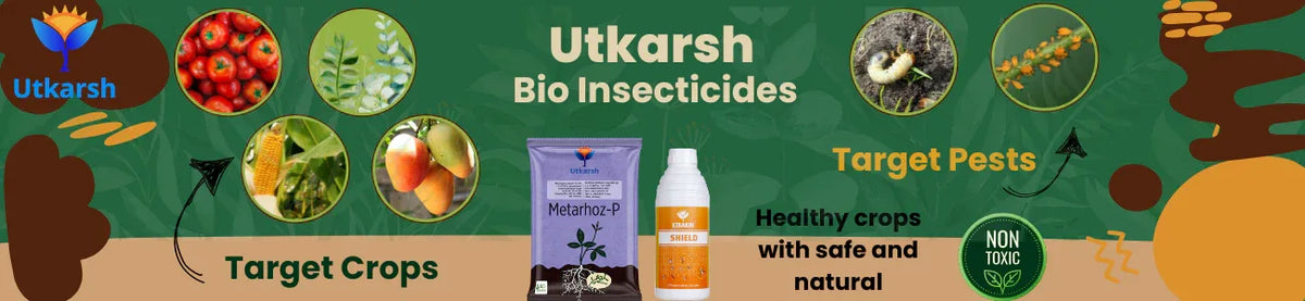 Bio Insecticides