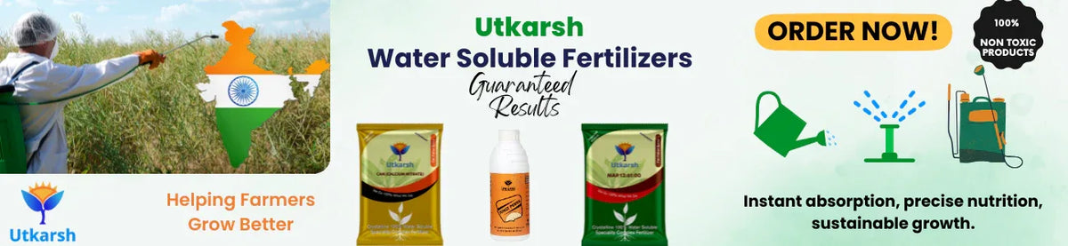 Water Soluble Fertilizers