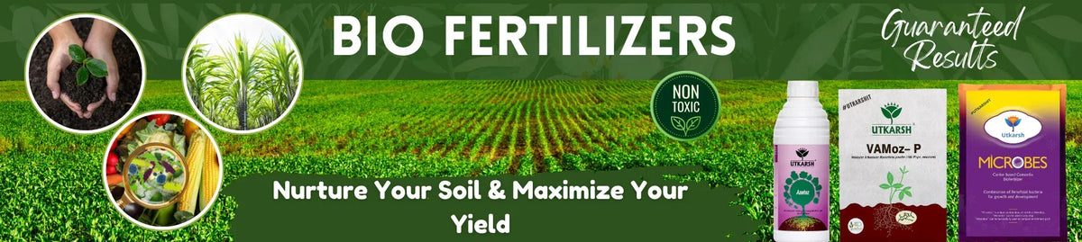 Bio Fertilizer