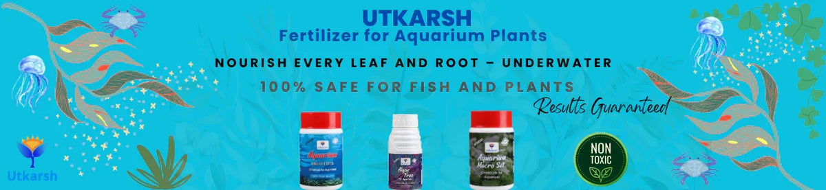 Fertilizers for Aquarium Plants