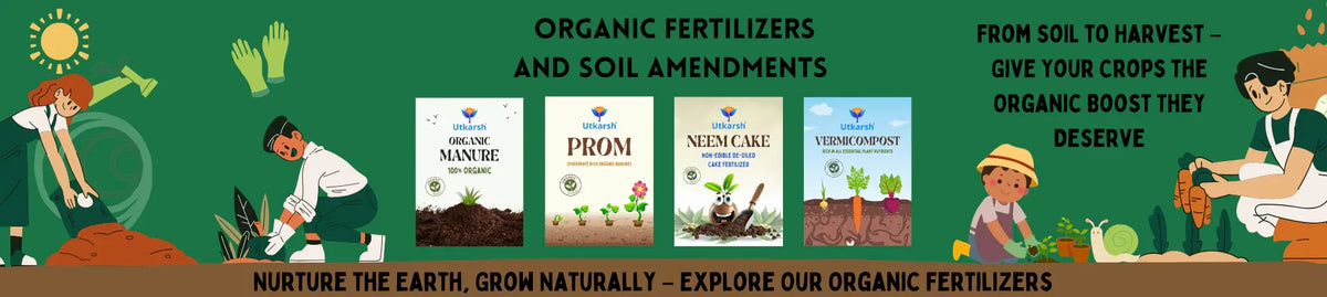 Organic Fertilizers / Soil Amendments