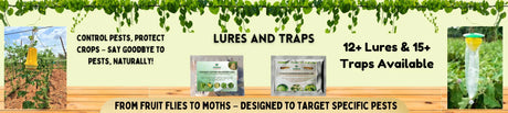 Lure and Trap - Utkarsh Agrochem Pvt ltd. 