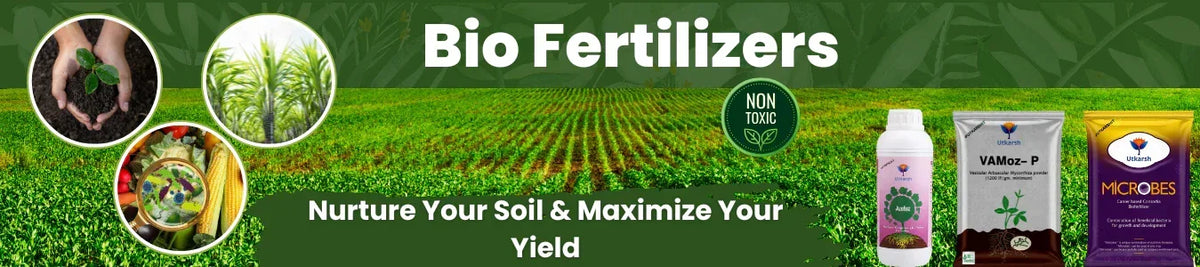 Bio Fertilizers