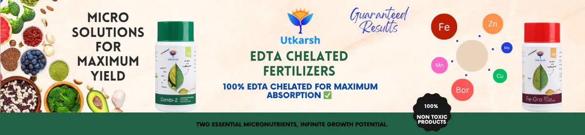 EDTA Chelated / Micronutrients
