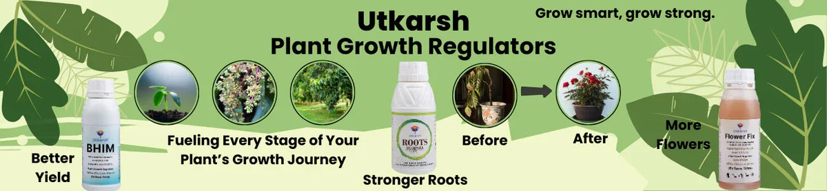 Plant Growth Regulators
