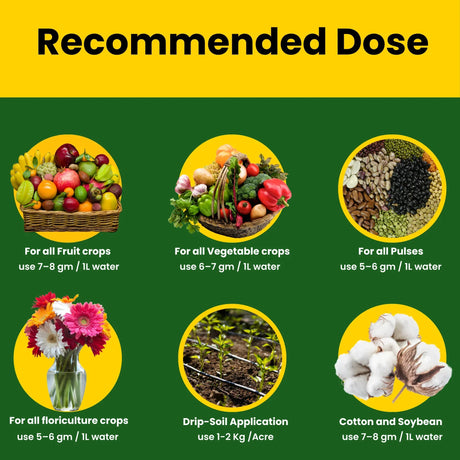 SOP 00 00 50 - Potassium Sulphate for Plants Growth, 100% Water Soluble Powder, Foliar Spray Nutrition | NPK Fertilizers for Home Garden & Crops - 25 Kg Bag - Utkarsh Agrochem Pvt ltd. 