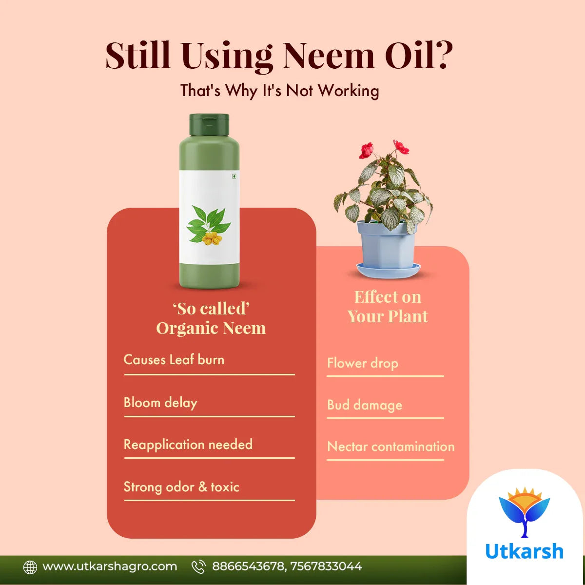 MildewNil - Plant Extract-Based Natural Fungicide - Utkarsh Agrochem Pvt ltd. 