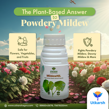 MildewNil - Plant Extract-Based Natural Fungicide