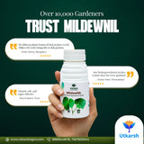 MildewNil - Plant Extract-Based Natural Fungicide - Utkarsh Agrochem Pvt ltd. 