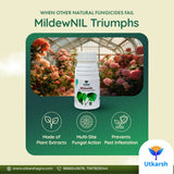 MildewNil - Plant Extract-Based Natural Fungicide - Utkarsh Agrochem Pvt ltd. 