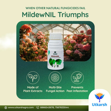 MildewNil - Plant Extract-Based Natural Fungicide - Utkarsh Agrochem Pvt ltd. 