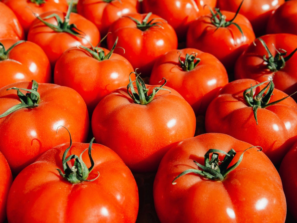 Utkarsh Tomato Integrated Fertilizer Management