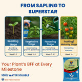 NPK 19 19 19 Fertilizer for Plants Growth | 100% Water Soluble | Complete Plant Food for Home Garden, Boosts Plant Health and Flowering