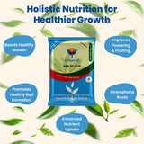 NPK 19 19 19 Fertilizer for Plants Growth | 100% Water Soluble | Complete Plant Food for Home Garden, Boosts Plant Health and Flowering