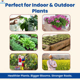 NPK 19 19 19 Fertilizer for Plants Growth | 100% Water Soluble | Complete Plant Food for Home Garden, Boosts Plant Health and Flowering