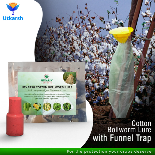 Cotton Bollworm Lure with Funnel Trap