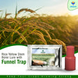 Rice Yellow Stem Borer YSB Lure with Funnel Trap - Utkarsh Agrochem Pvt ltd. 