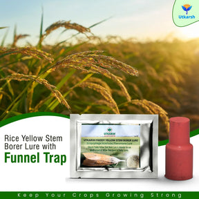 Rice Yellow Stem Borer YSB Lure with Funnel Trap - Utkarsh Agrochem Pvt ltd. 