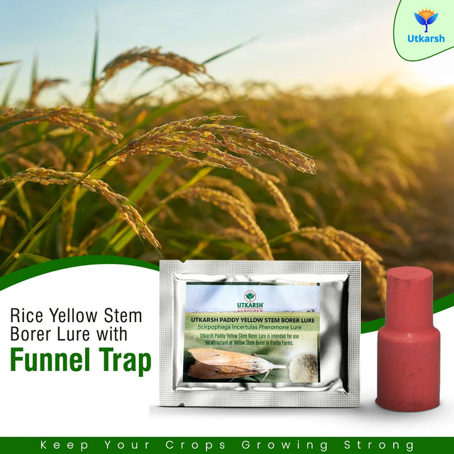 Rice Yellow Stem Borer YSB Lure with Funnel Trap - Utkarsh Agrochem Pvt ltd. 
