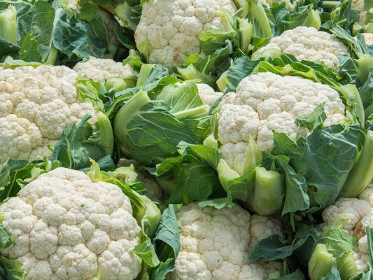 Cauliflower Farming Schedule Utkarsh