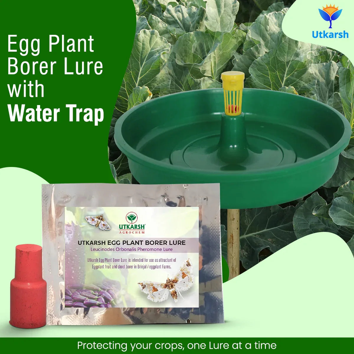 Egg Plant Borer Lure with Water Trap - Utkarsh Agrochem Pvt ltd. 