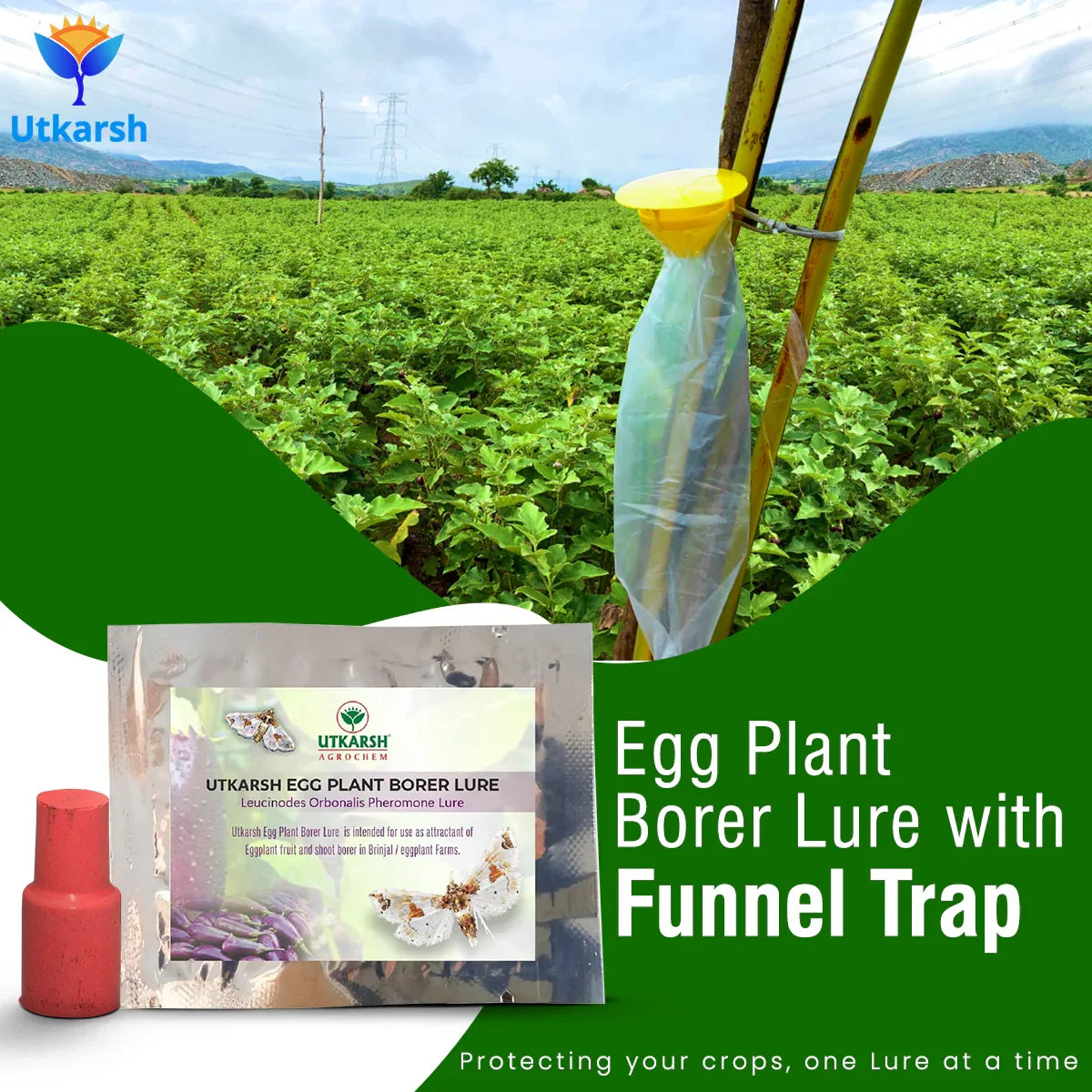 Egg Plant Borer Lure with Funnel Trap - Utkarsh Agrochem Pvt ltd. 