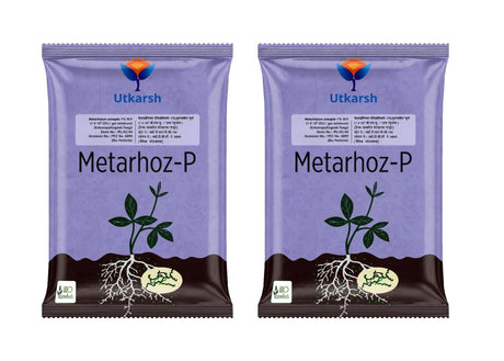 Metarhizium Anisopliae 1% W.P. 1 x 10^8 CFU/gm min. Bio Insecticides for Plants, Crops and Home Gardening - Metarhoz-P - Utkarsh Agrochem Pvt ltd. 