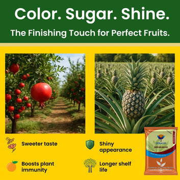 SOP 00 00 50 - Potassium Sulphate for Plants Growth, 100% Water Soluble Powder, Foliar Spray Nutrition | NPK Fertilizers for Home Garden & Crops