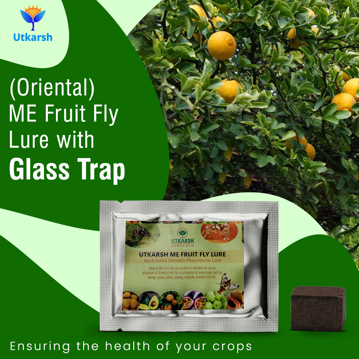 ME Fruit Fly (Oriental) Lure with Eco or Glass Trap